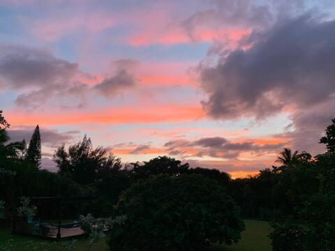 North Shore Garden Suite Haleiwa Buitenkant foto
